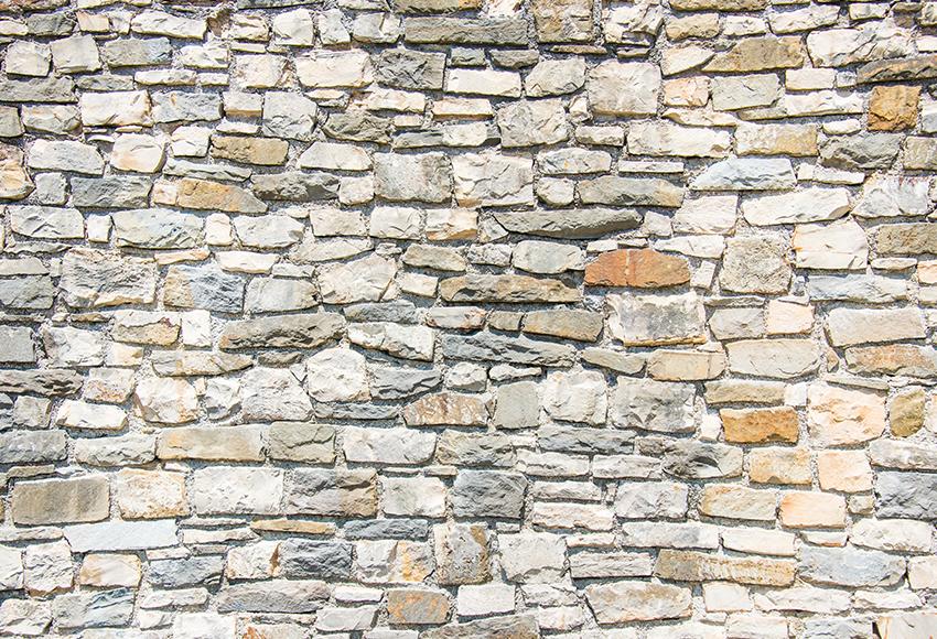 Stone Wall Close Up Backdrop for Photography D136