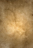 Abstract Brown Grunge Paper Textures Backdrop for Studio D191