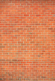 Photography Backdrop Red Brick Wall Texture D-241