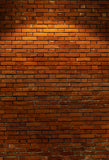 Red Brown Wall Texture Backdrop for Photos D-244
