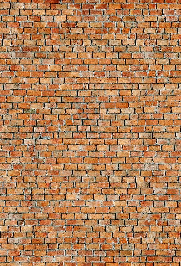 Vinatge Brick Wall Texture Photography Backdrop D-255