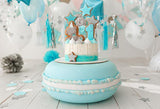 Baby 1st Birthday Cake Smash Backdrop for Photo Studio D258