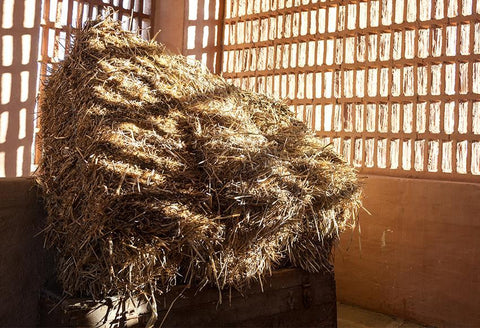 products/D416-barn-with-sun-from-outside-straw-hay.jpg