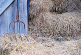 Iron Rake Door Rice Straw Backdrop for Photography D422