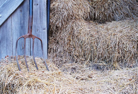 products/D422-iron-rake-wooden-door-rice-straw.jpg