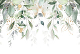 Grüne Eukalyptusblätter verzweigen Fotohintergrund D760