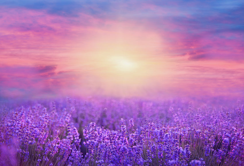 Lavender Field Purple Flowers Summer Photography Backdrop
