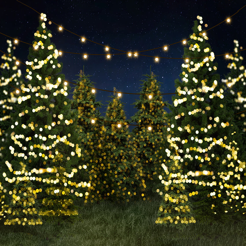 Night Twinkle Christmas Farm Photo Booth Backdrop