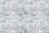 Winter Frosted Stone Road Photography Backdrop D907