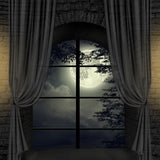 Herrenhaus-Moonlight-Window-Halloween-Hintergrund-D911