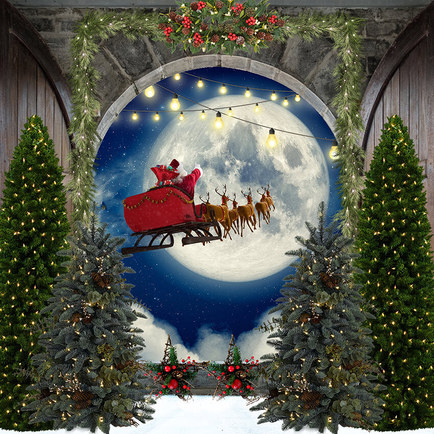 Weihnachtsmann-Elch-Mond-Weihnachtshintergrund D963