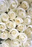 Weißer Blumenbildhintergrund für Geburtstagshochzeit F-2387