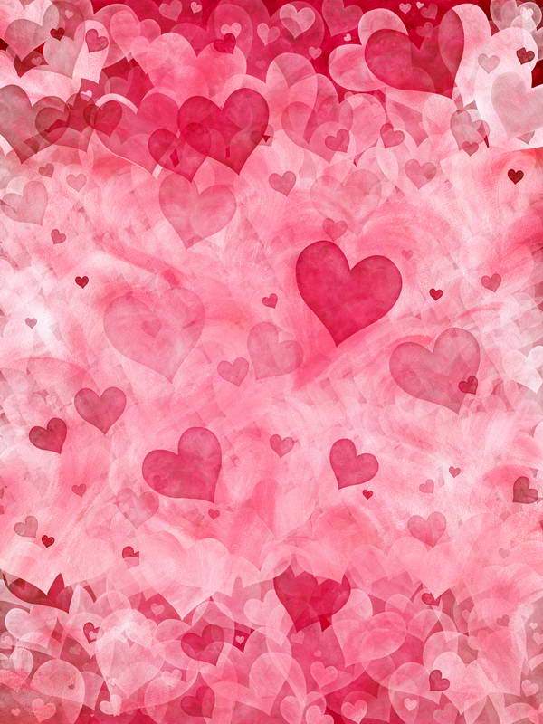 Love Heart Valentine's Day Backdrop for Photo Booth F-2948