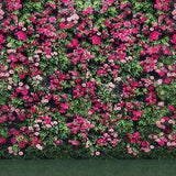 Echte Blumenwand-Hintergrund für Party-Dekor G-030