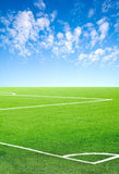 Green Lawn Footable Field Photography Backdrops G-298
