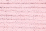 Pink Brick Wall Photography  Backdrop  G-41