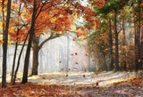 Season Backdrops Autumn Backdrops Beautiful Maple Leaf Background G-593