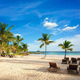 Coconut Tree Beach Ocean Summer Photo Backdrop  G-673