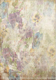 Vintage Shabby Grunge Flowers Texture Photography Backdrop GR1