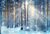 Schöne Waldschnee Szene Weihnachten Hintergründe GX-1069