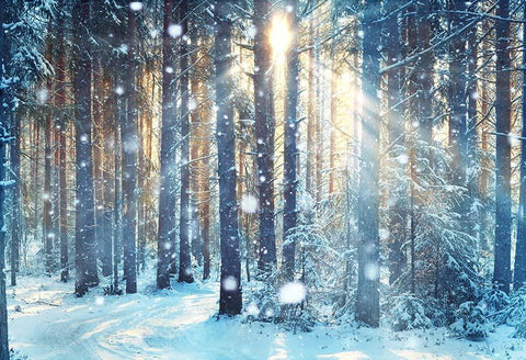 Schöne Waldschnee Szene Weihnachten Hintergründe GX-1069