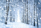 Schöne Weiße Wald Schnee Szene Weihnachten Hintergründe GX-1070