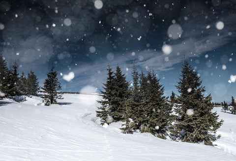 Weißer Schnee Weihnachtsbaum Blauer Himmel Hintergrund GX-1073