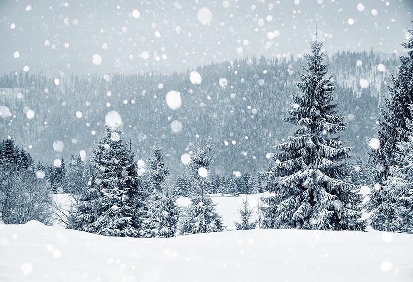 Graue Schnee Szene Hintergründe für Weihnachten GX-1074