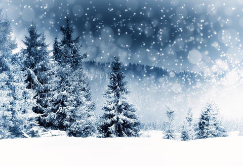 Schnee Tannen Wald Hintergründe für Weihnachten GX-1075
