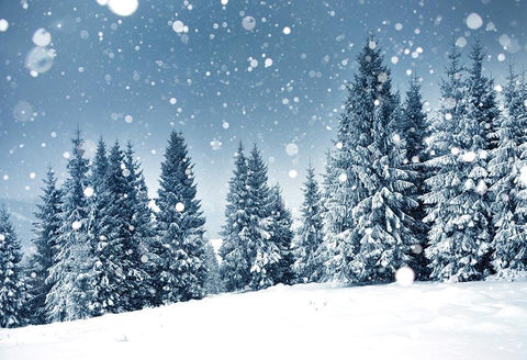 Winter Schnee Weihnachtsbäume Hintergrund für Fotografie GX-1077
