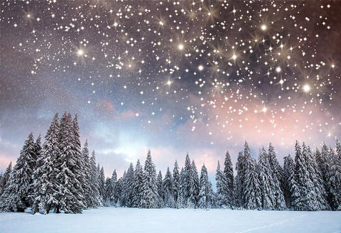 Leuchtende Sterne Winter Weihnachtsbäume Hintergrund für Fotografie GX-1080