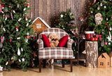 Weihnachten Dekoration Süß Teddybär Hintergrund für Fotostudio GX-1089