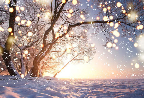 Winter Schnee Baum Bokeh Weihnachten Hintergrund für Fotografie GX-1095