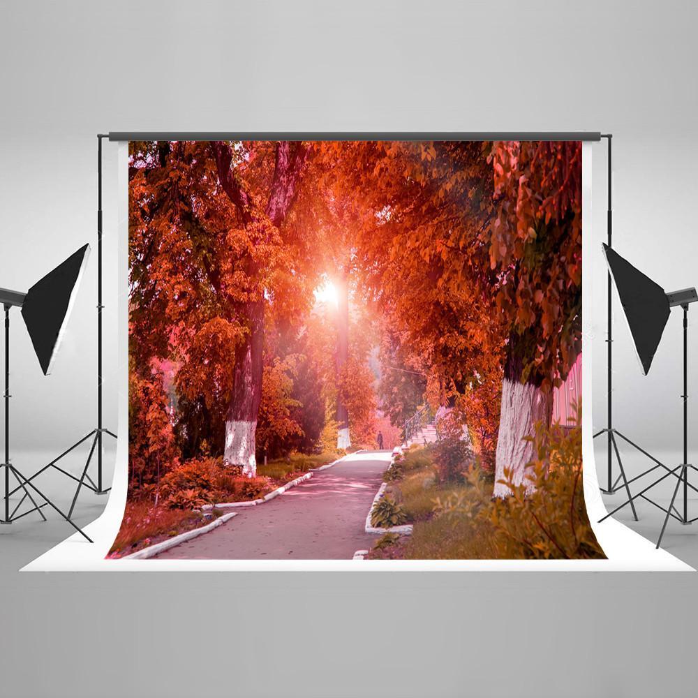Autumn Red Yellow Leaves Forest Tree Road Photo Backdrop HJ03456