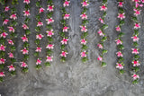 Grunge Backsteinmauer mit Blumenhintergründen für die Fotografie HJ03614
