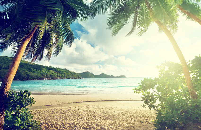 Sommer blau Ozean Strand Hintergrund für Studio HJ05411