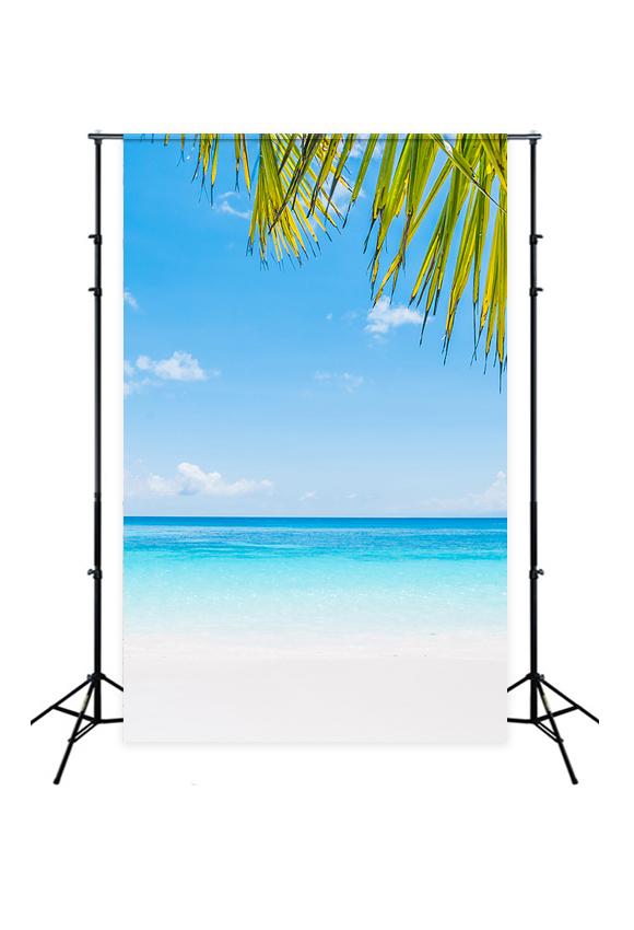 Blue Ocean Beach Sky Summer Backdrop for Photo Studio J04081