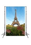 Paris Landmarks Eiffel Tower Green Grass Backdrop for Photography J05490