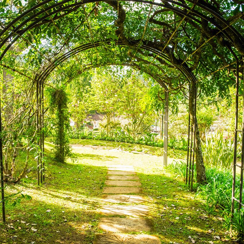 Arch Green Natural Pathway Photo Booths Backdrops J05492