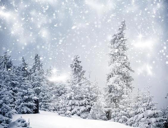 Winter Snow Forest Christmas  Photography Backdrop KAT-16