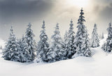 Snow Forest Christmas Tree Backdrops