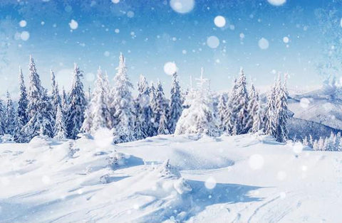 Winter Landscape Trees Frost Snowflakes Photography Backdrop
