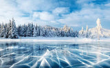 Winter Frozen Lake Blue Ice Snow Pine Trees Photography Backdrop