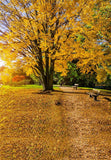 Autumn Yelllow Leaves Tree  Backdrop for Photo Studio MR-2115