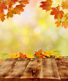 Autumn Red Maple Leaves Wood Floor Photo Studio Backdrop MR-2248