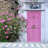 Pink Door Flowers Backdrop for Photography S-3068