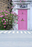 Pink Door Flowers Backdrop for Photography S-3068