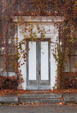 White Door Yellow Fallen Leaves Plants Photo Background S-3223 