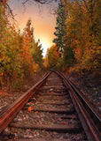 Eisenbahn-Herbst-Goldgelb-Bäume-Hintergrund S-785