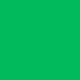 Einfarbiger grüner Bildschirm Fotohintergrund Studio Fotografie Requisiten S12
